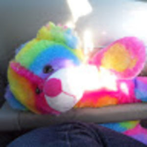 Meet your Posher, Widow